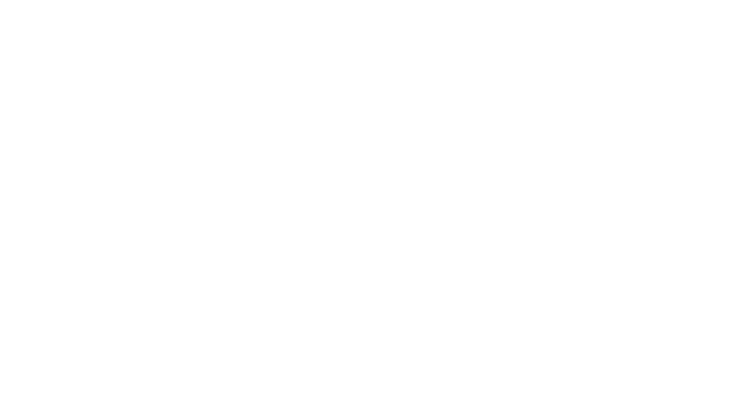 VNDLR